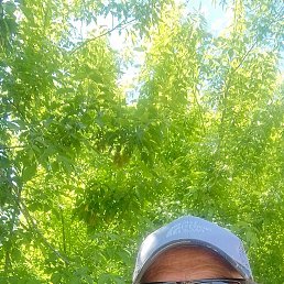 , 57, 