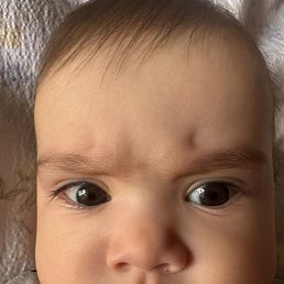 ���� �����, ������, 42 ���� - ��������� 2 ������ 2026