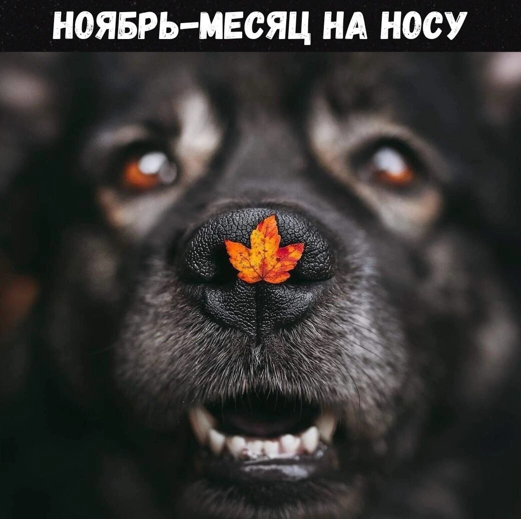 ***Victoria Viktorovna*** - 30  2023  06:03