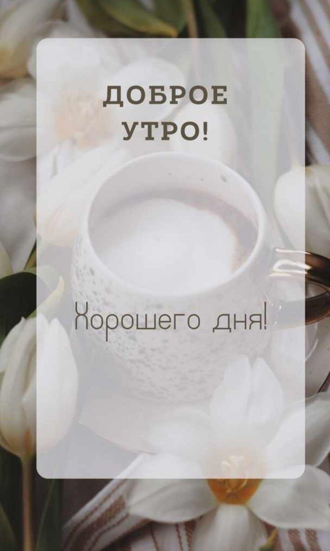 ***Victoria Viktorovna*** - 13  2023  04:05