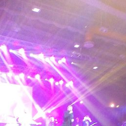 ����, ������, 49 ���