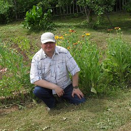 ������, ����������, 50 ���