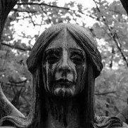 ���������, 26 ���, ������