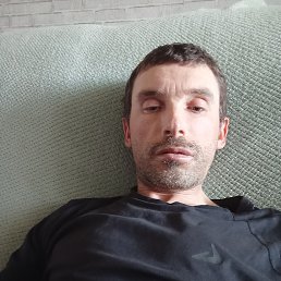 �����, 41 ���, ������