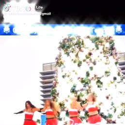 ���� �������, �����������, 58 ��� - ��������� 23 ������� 2024