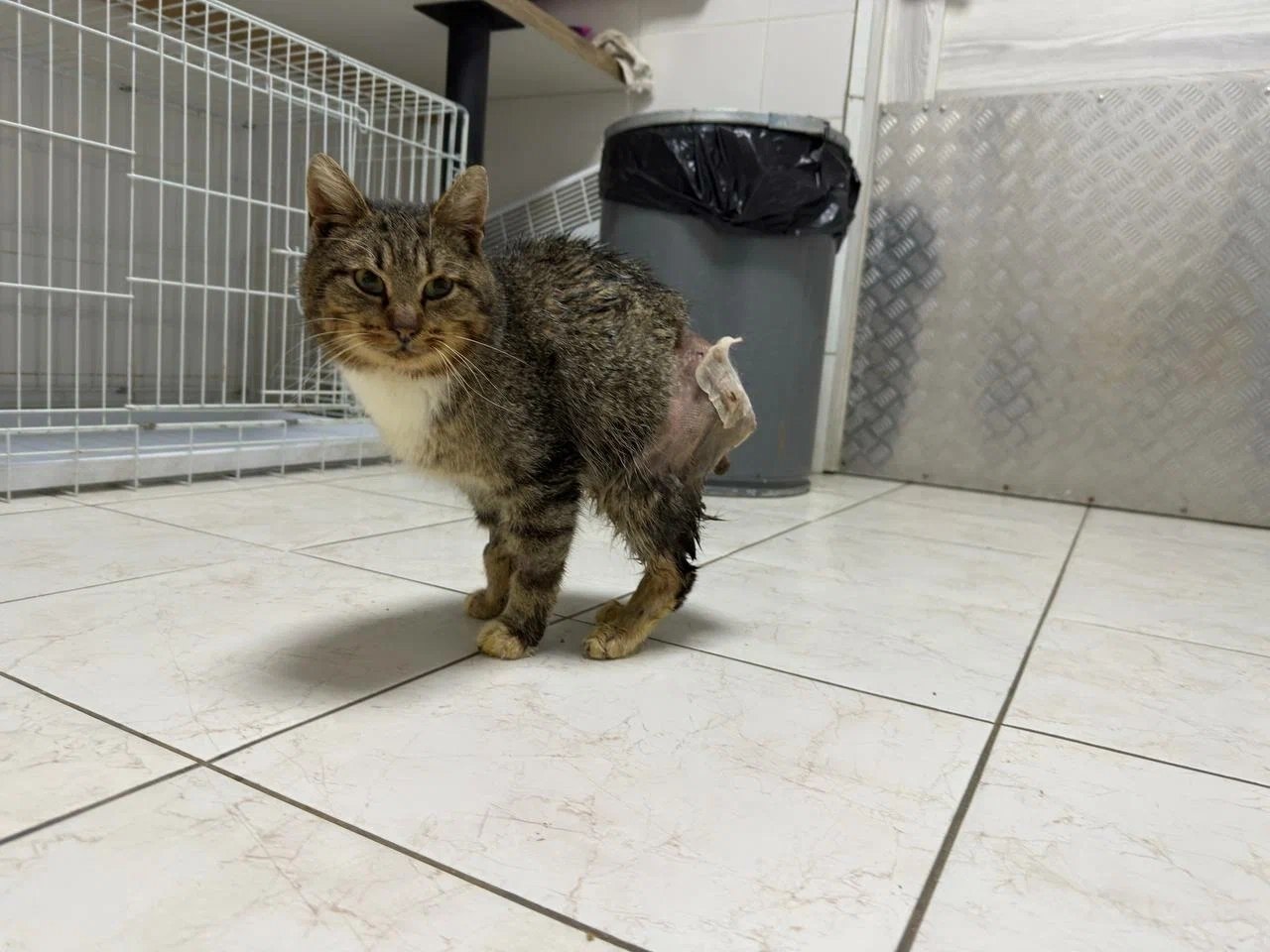 ������ ����� ����� �� ������, � �������, � ������������� ����� � ��� ����� ������. ��� � ����� �� ... - 4
