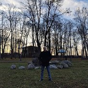 , 43 , 