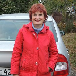 , 65, 