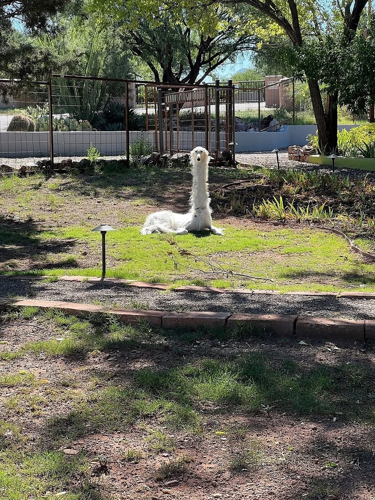  .   ,  -  .  .     . - 2