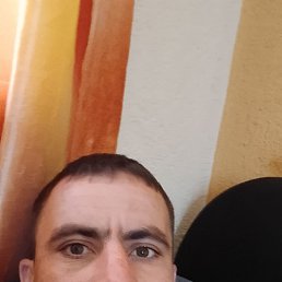 , 36 , 