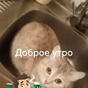 ���� �����, ���� - ��������� 1 ������� 2026 � ������ ������ ��������