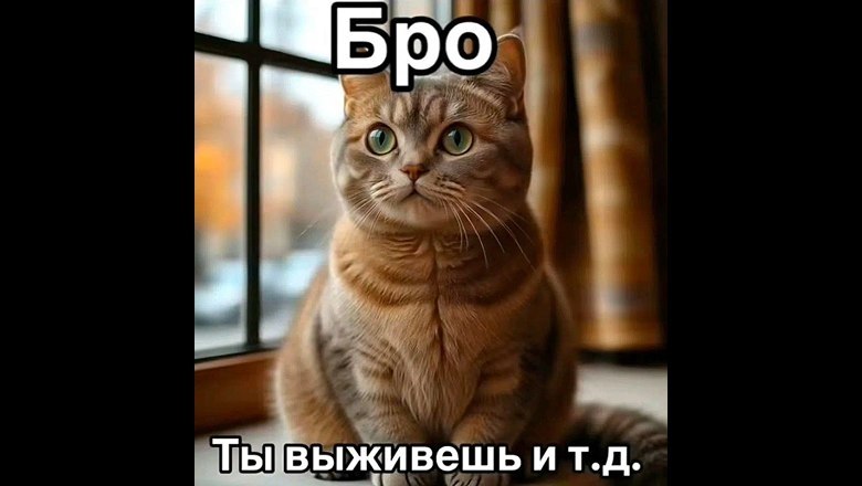 ����� ����� ��������, ������������ �������� ���������� ������ � � ������� ��� ������������� ...