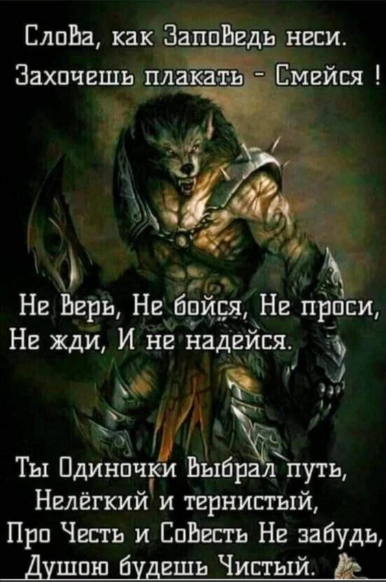 ₪╬═►  ||  ||  ◄═╬₪ - 25  2024  09:53