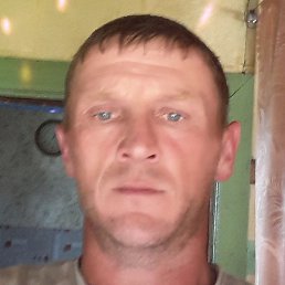 ����, ������, 39 ���