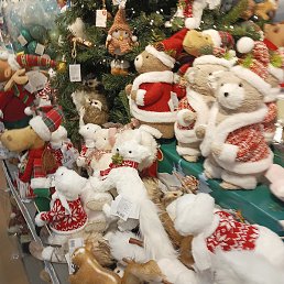 Ahmad, ������, 37 ���