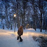 �����, 39 ���, ������ ��������