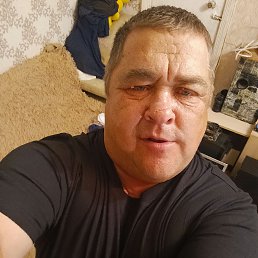 , 53 , 