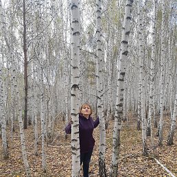 , 56, 