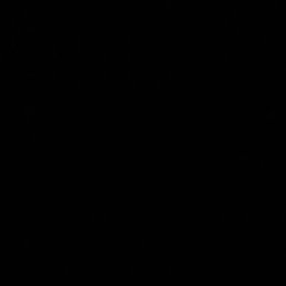 Kunj, �����, 26 ���