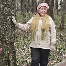 ������ ���������, ����������, 56 ���