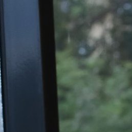 ������, ��������, 35 ���