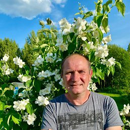, 49, 