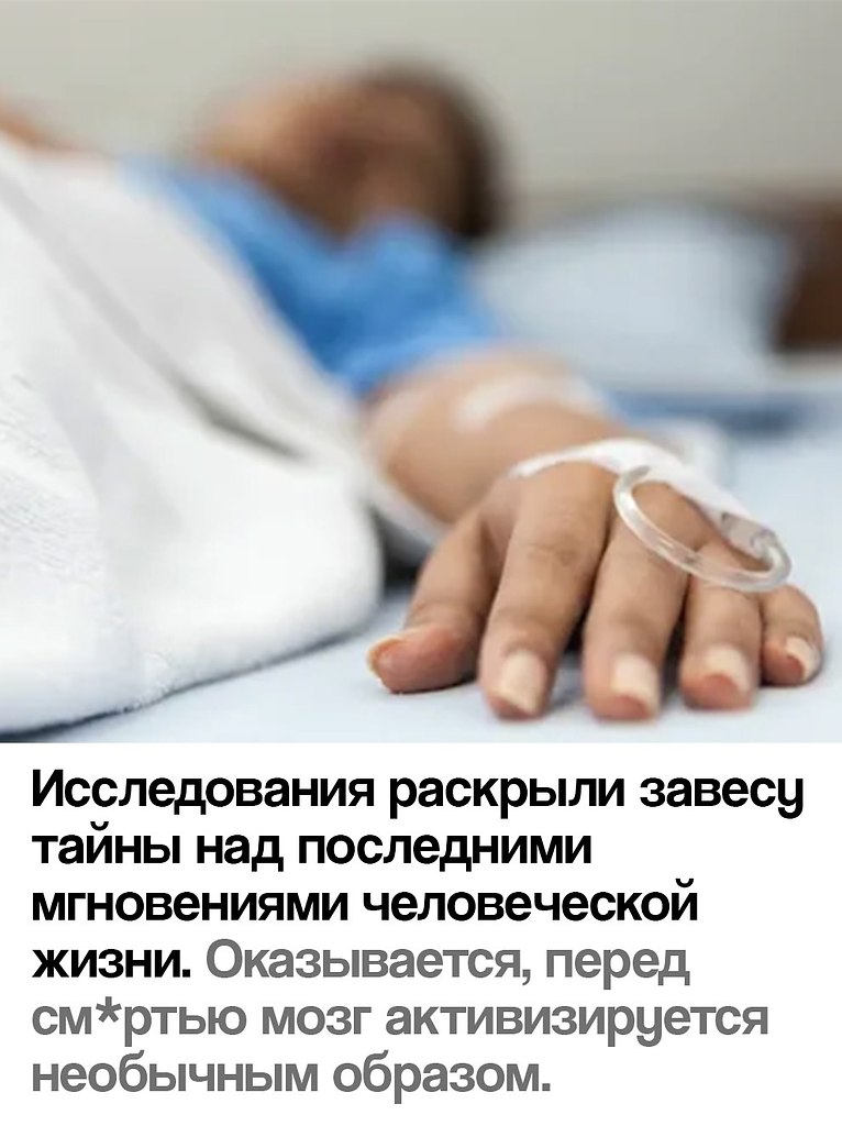  - 17  2025  07:33 - 2
