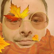 ����, 39 ���, �������