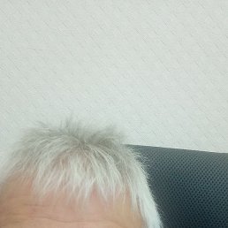 ����, ������, 63 ����