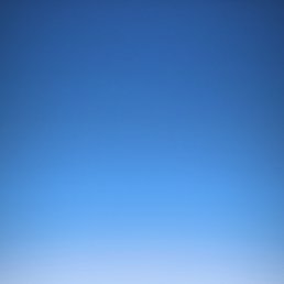 �����, 41 ���, ���������