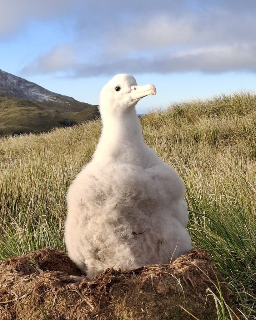 ,   -    : 1.    2.  ... - 2