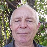 , 65 , 