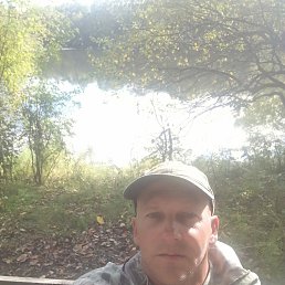 ���� ������, ���������, 50 ��� - ��������� 14 ������ 2026