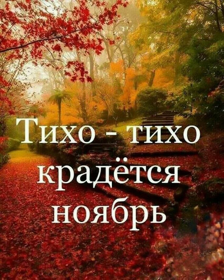 Всё будет хорошо! - 28 октября 2025 в 10:26