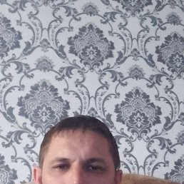 , 41, 