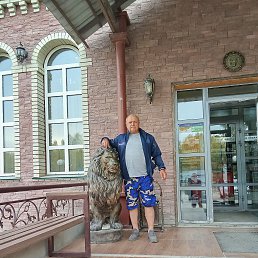  , 65 , -