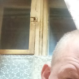 ����, �������, 43 ����