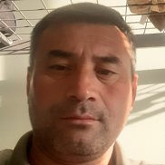 , 43 , 