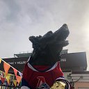 ���� Evgen, ���������, 44 ���� - ��������� 4 ������ 2026 � ������ ������ ��������