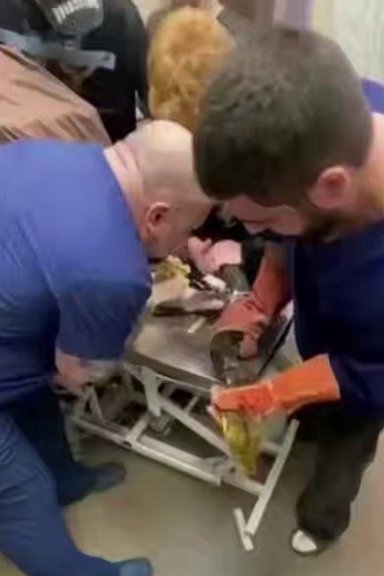 � �����-���������� ��������� ��������� ������� � ������� �� ����� ����.�� ��������� ��������� �� ...