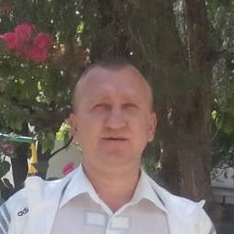 �������, �������, 46 ���