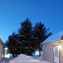 ���� ������ ., ������� - ��������� 10 ������� 2026 � ������ ���� ����������