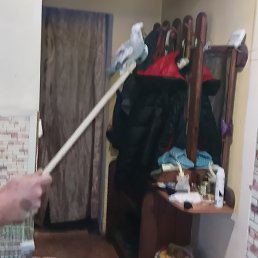 �������, ������, 29 ���