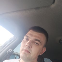 , 29,  