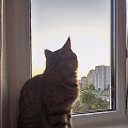 ���� Evgeniy, �����, 54 ���� - ��������� 13 ������ 2025 � ������ ������ ��������
