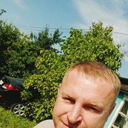 ����, 41 ���, ����