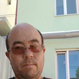 , 37, 