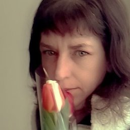 ������ ��������, ������, 40 ���