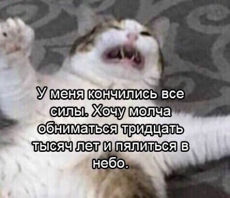    - 29  2024  14:35