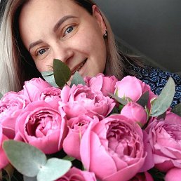 ��������, �������, 41 ���